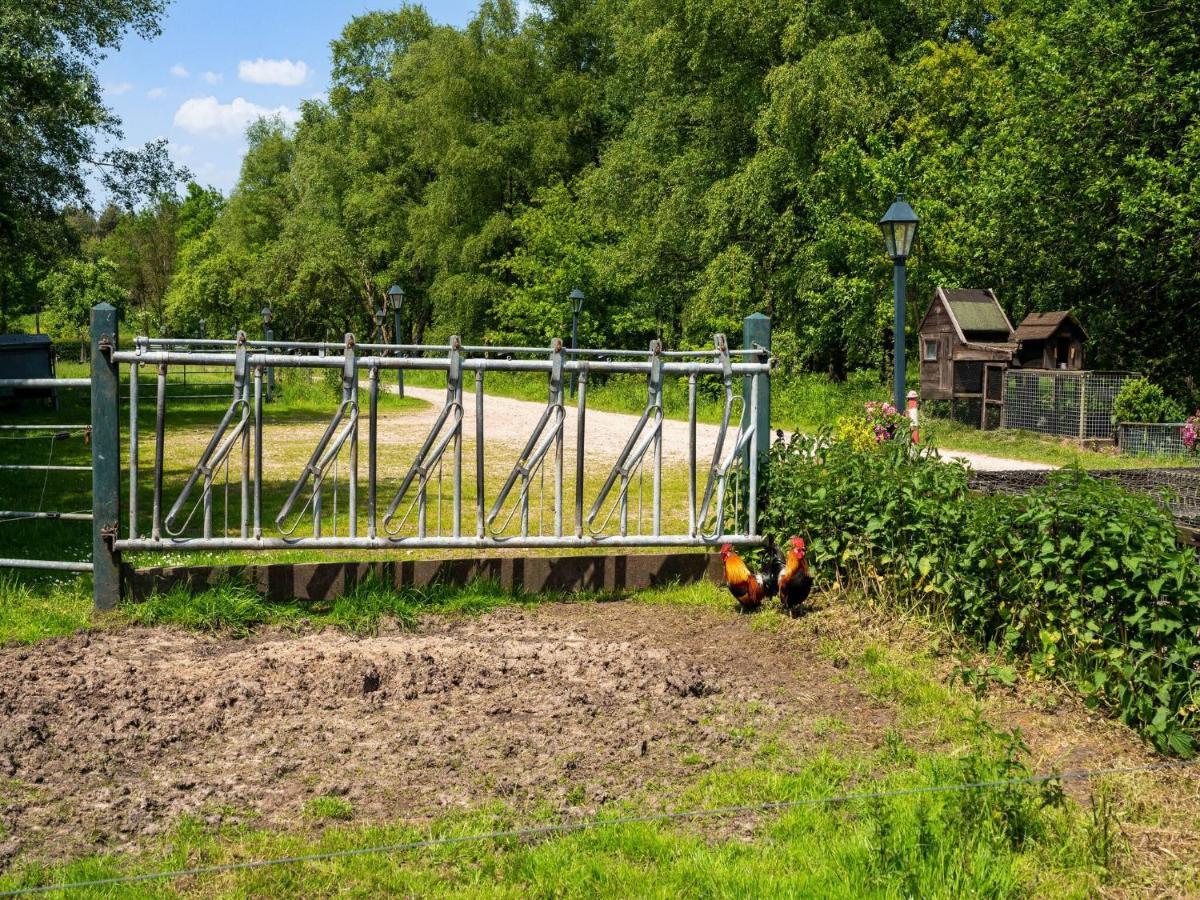 A Lovely Cottage On The Dwingelderveld Nature Park Beilen Exteriör bild